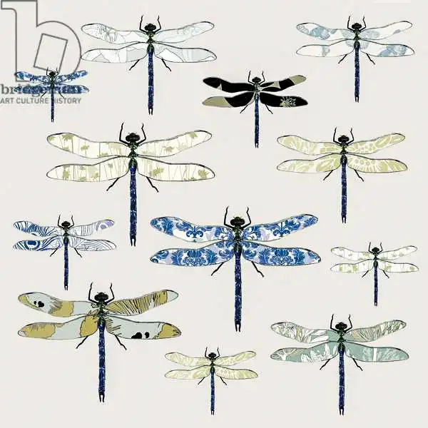 Hough, Sara: Odonata