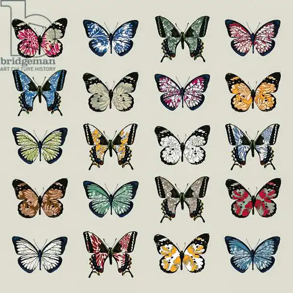 Hough, Sara: Papillon