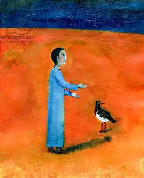 Sudbury, Gig: Oystercatcher