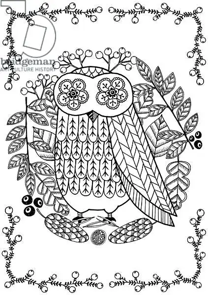 Vasko, Ann: Hibou