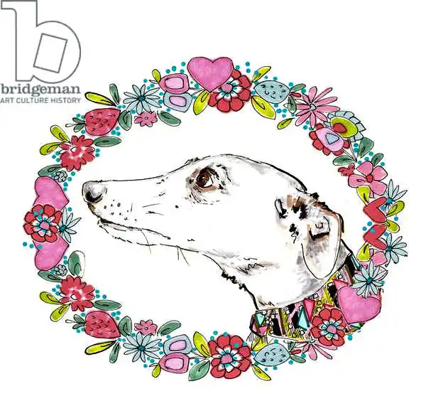 Chambers, Jo: Silvertips Greyhound With Floral Border