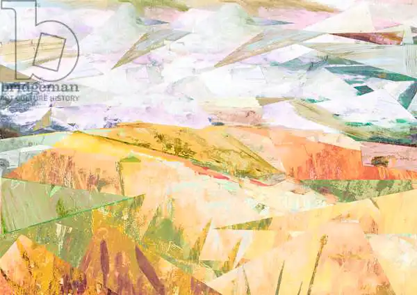 McConochie, Davi: Summer Fields
