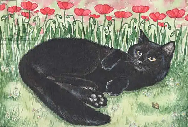Scott, Samuel: Chat noir avec coquelicots