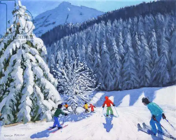 Macara, Andre: Arbres enneigés, LA Clusaz, France