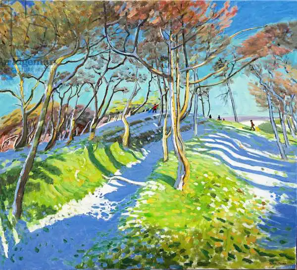 Macara, Andre: Last of the snow,Ladmanlow