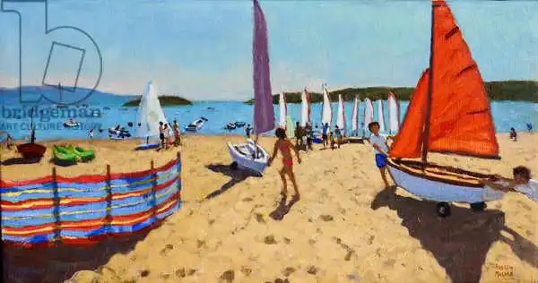 Macara, Andre: Empujando el barco,Abersoch