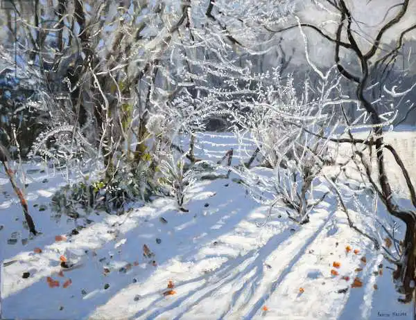 Macara, Andre: Hoar Frost