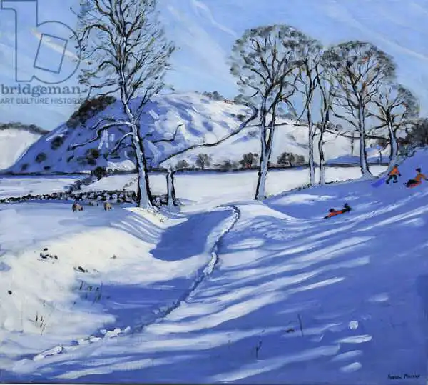 Macara, Andre: Slips, Derbyshire Peak District