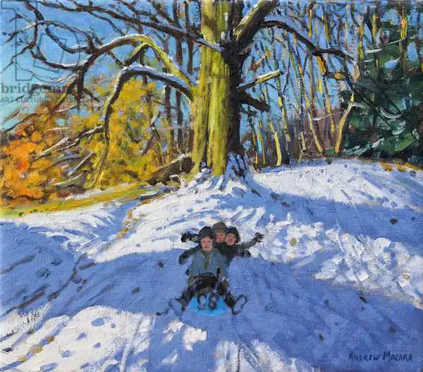 Macara, Andre: Three on a sledge,Allestree Park Derby .2014