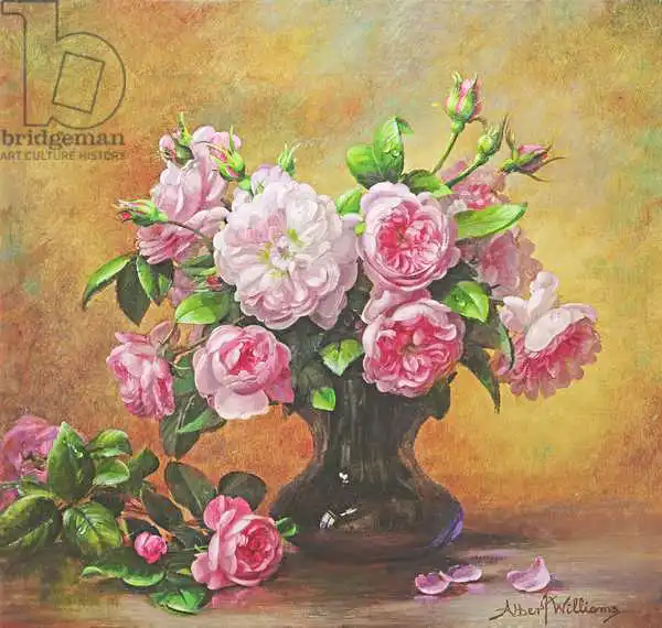 Williams, Albert: Roses de parfum doux et de velours touchés