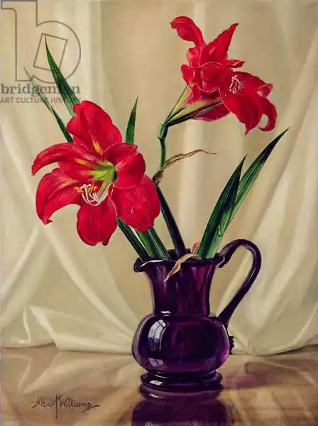 Williams, Albert: AMARYLLIS LILLIES, dans une crèche en verre foncé