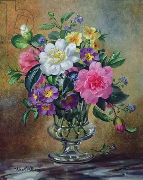 Williams, Albert: AB / 217 oublie-moi et primales en vase en verre