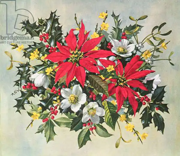 Williams, Albert: PB/274 Christmas Flowers