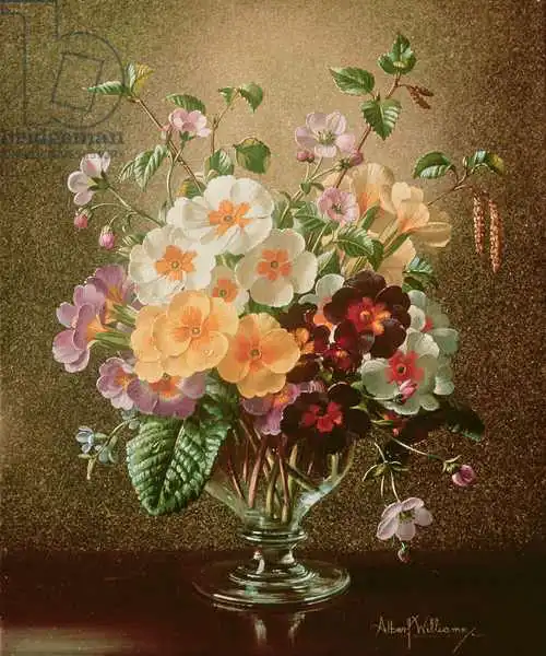 Williams, Albert: Primules AB / 314 dans un vase en verre