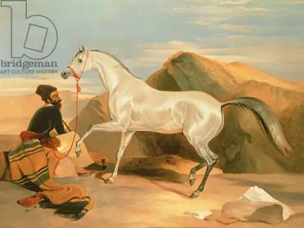 Landseer, Edwin: Arab Stallion
