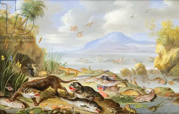 Kessel, Jan van, the elder: L