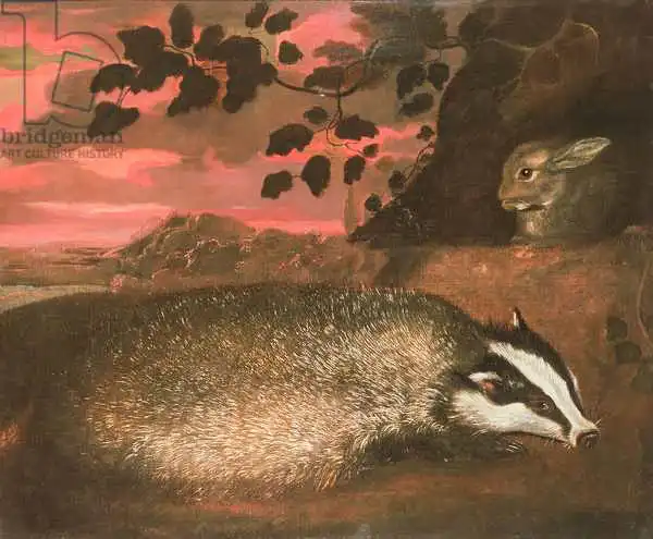 Barlow, Francis: Badger, 17e siècle