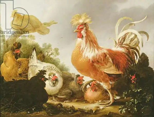 Hondecoeter, Gysbert: Cockerel and hens in a landscape