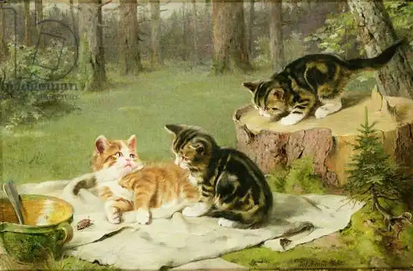 Honnef, Ewald: Kittens Playing