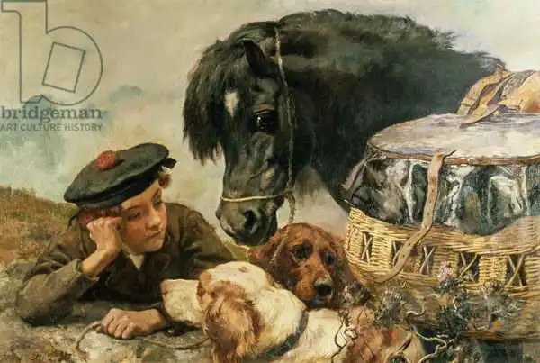 Strutt, William: Gamekeeper Companion