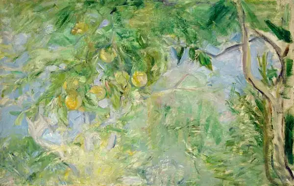 Morisot, Berthe: Větev pomerančovníku