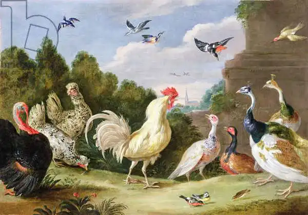 Kessel, Jan van, the elder: Paysage boisé avec une bite, une dinde, des poules et d