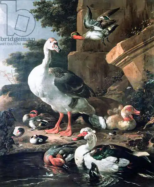 Hondecoeter, Melchior: Waterfowl in a classical landscape, 17th century