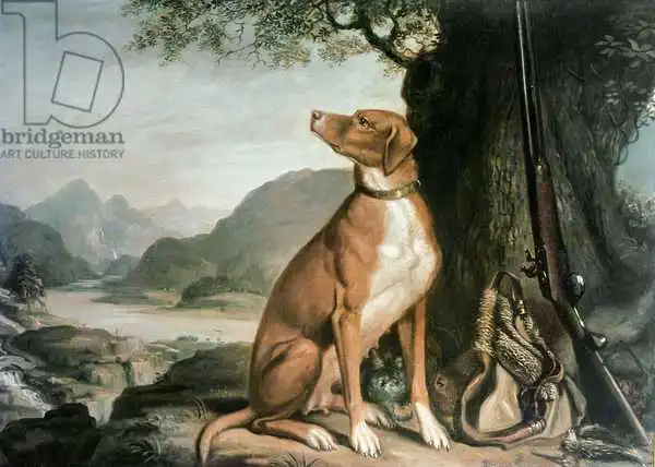 Sartorius, J. Francis: Gun Gun Dog de G. M. Johnston dans un paysage