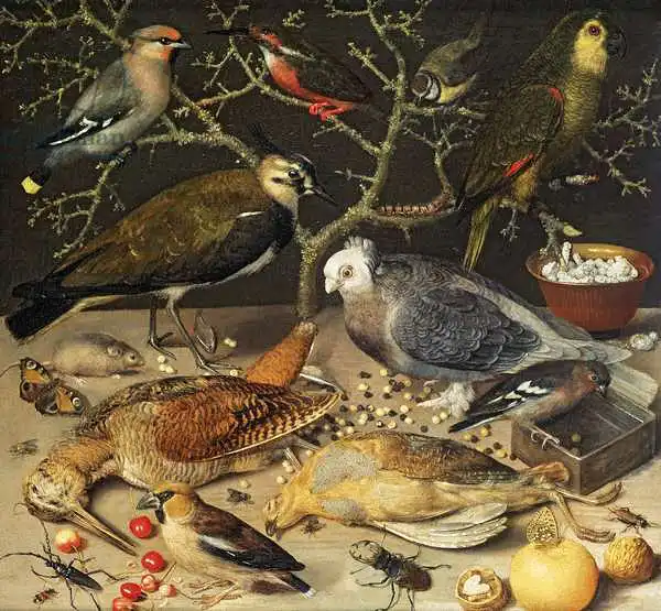 Flegel, Georg: Still Life of Birds and Insects