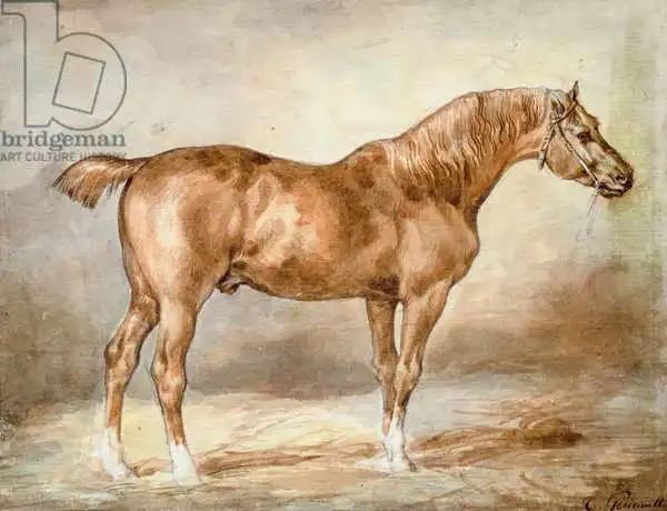Géricault, Théodore: Horse in a Stable