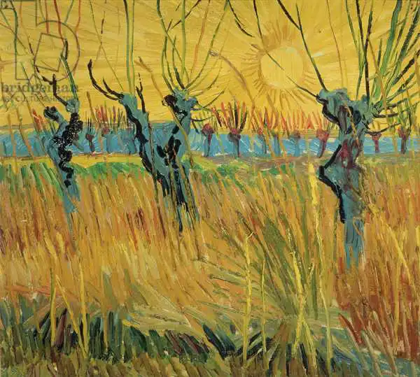 Gogh, Vincent van: Pollarded Willows and Setting Sun