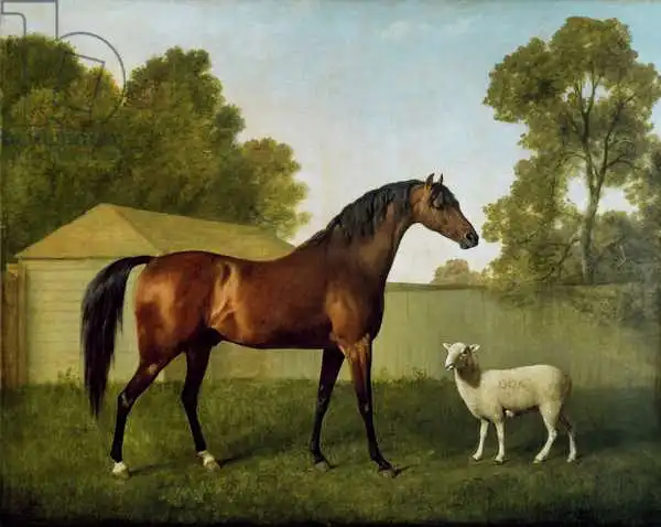 Stubbs, George: Dungannon, la propriété du colonel O