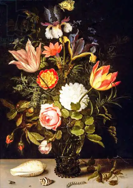 Ast, Balthasar van der: Nature morte de fleurs dans un roemer avec deux coquilles