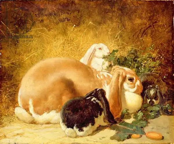 Herring Jnr, John Frederick: Lapins