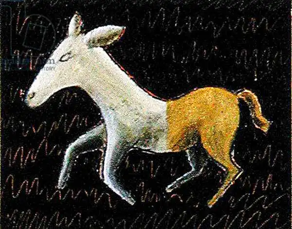 Washington, Celi: Animal