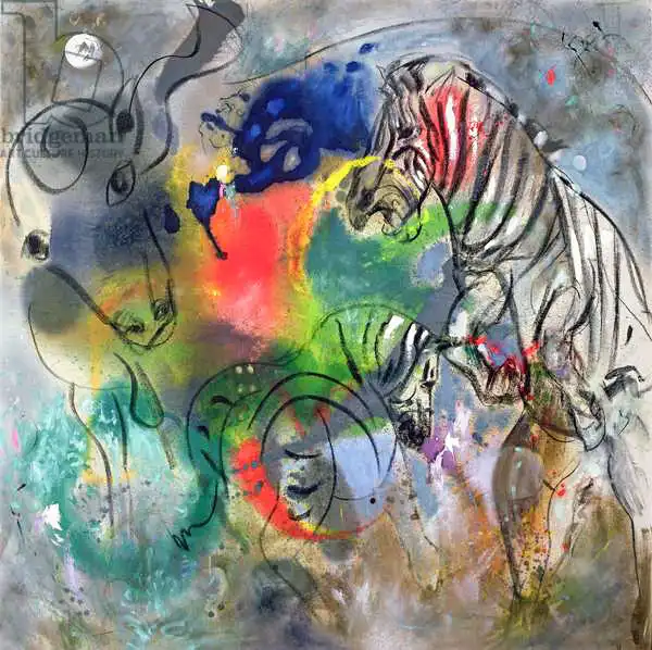 Deakin, Jan: I mari della zebra