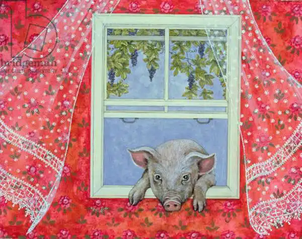 Ditz: Grapes at the Window