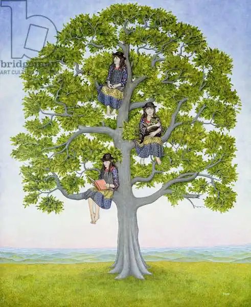 Ditz: Tree