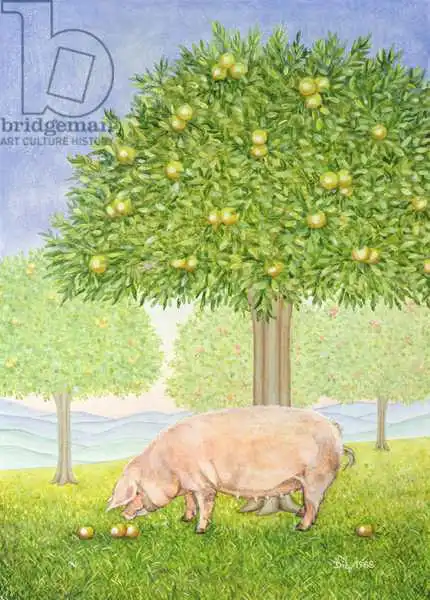 Ditz: Left Hand Orchard Pig