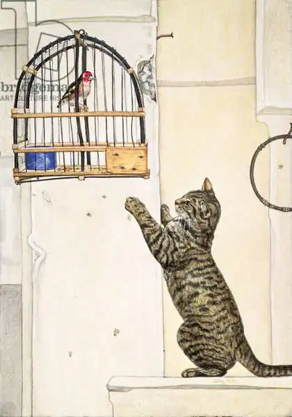 Ditz: Le bird d