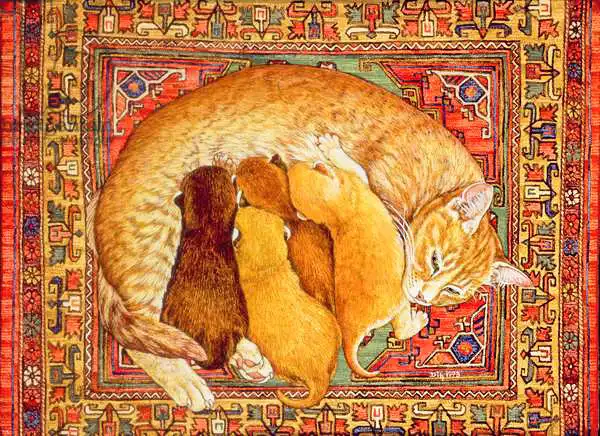 Ditz: Kittens
