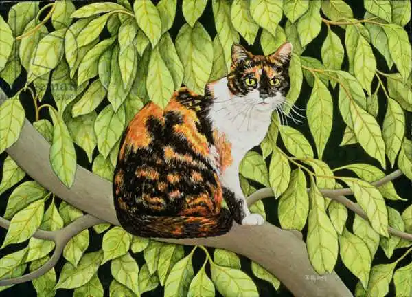 Ditz: Leaves