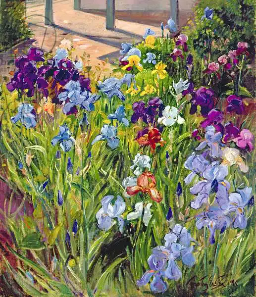 Easton, Timoth: Irises and Summer House Shadows