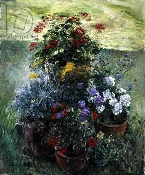 Easton, Timoth: Shaded Pots