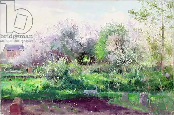 Easton, Timoth: Allotment Stalker