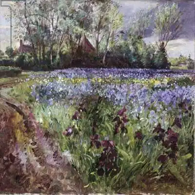Easton, Timoth: Iris Field, Storm Gathering