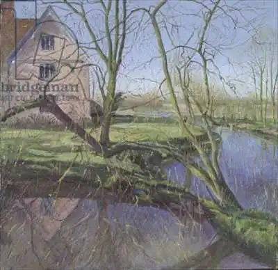 Easton, Timoth: Sprouting Willow Tree