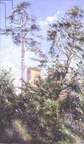 Easton, Timoth: Pine Tree and Tower