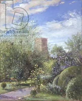 Easton, Timoth: Evening Primrose and Butterfly Bush