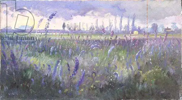 Easton, Timoth: Delphiniums and Passing Storm